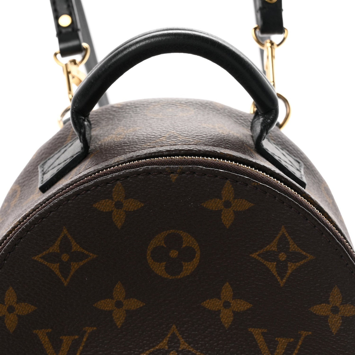 Monogram Palm Springs Backpack Mini