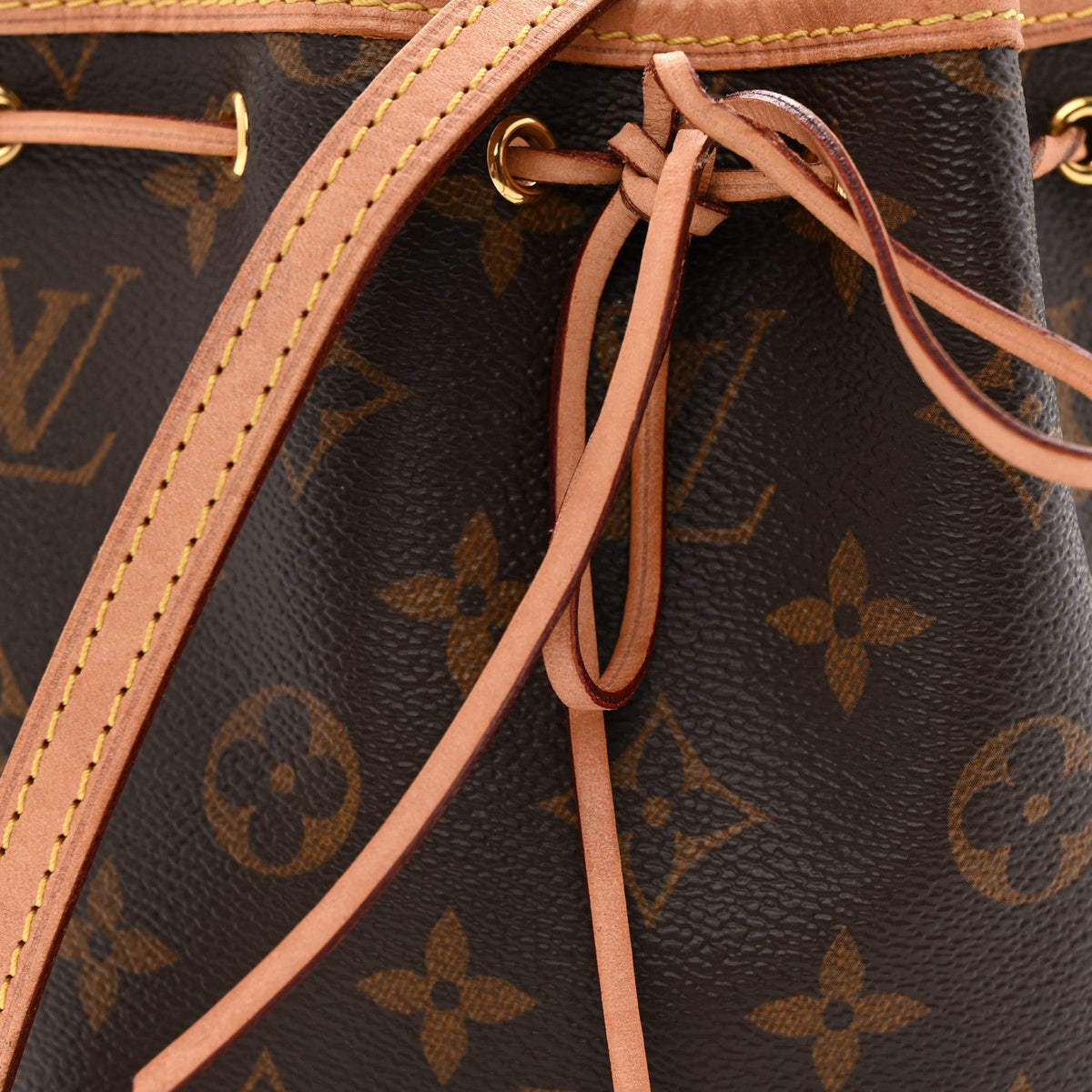 Monogram Nano Noe