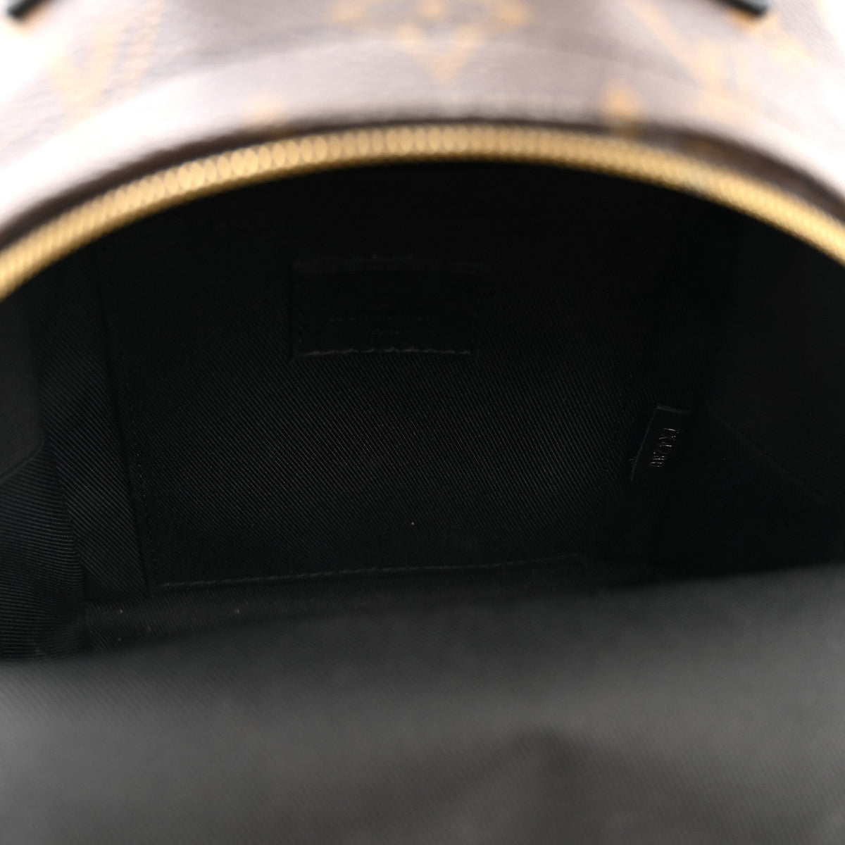 Monogram Palm Springs Backpack Mini