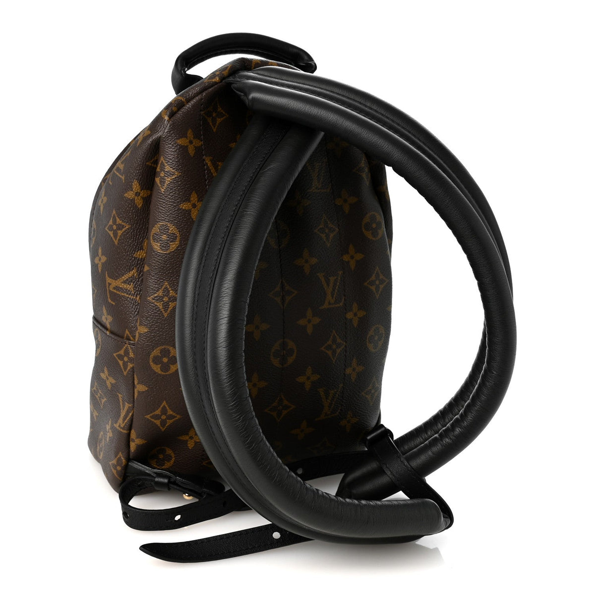 Monogram Palm Springs Backpack PM