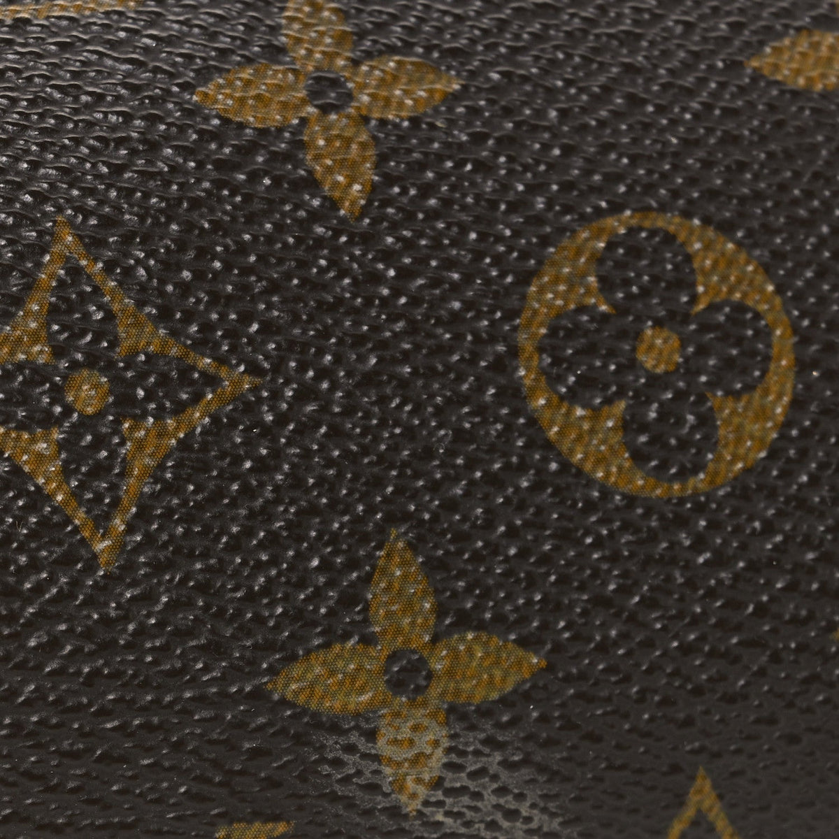 Monogram Eva Clutch