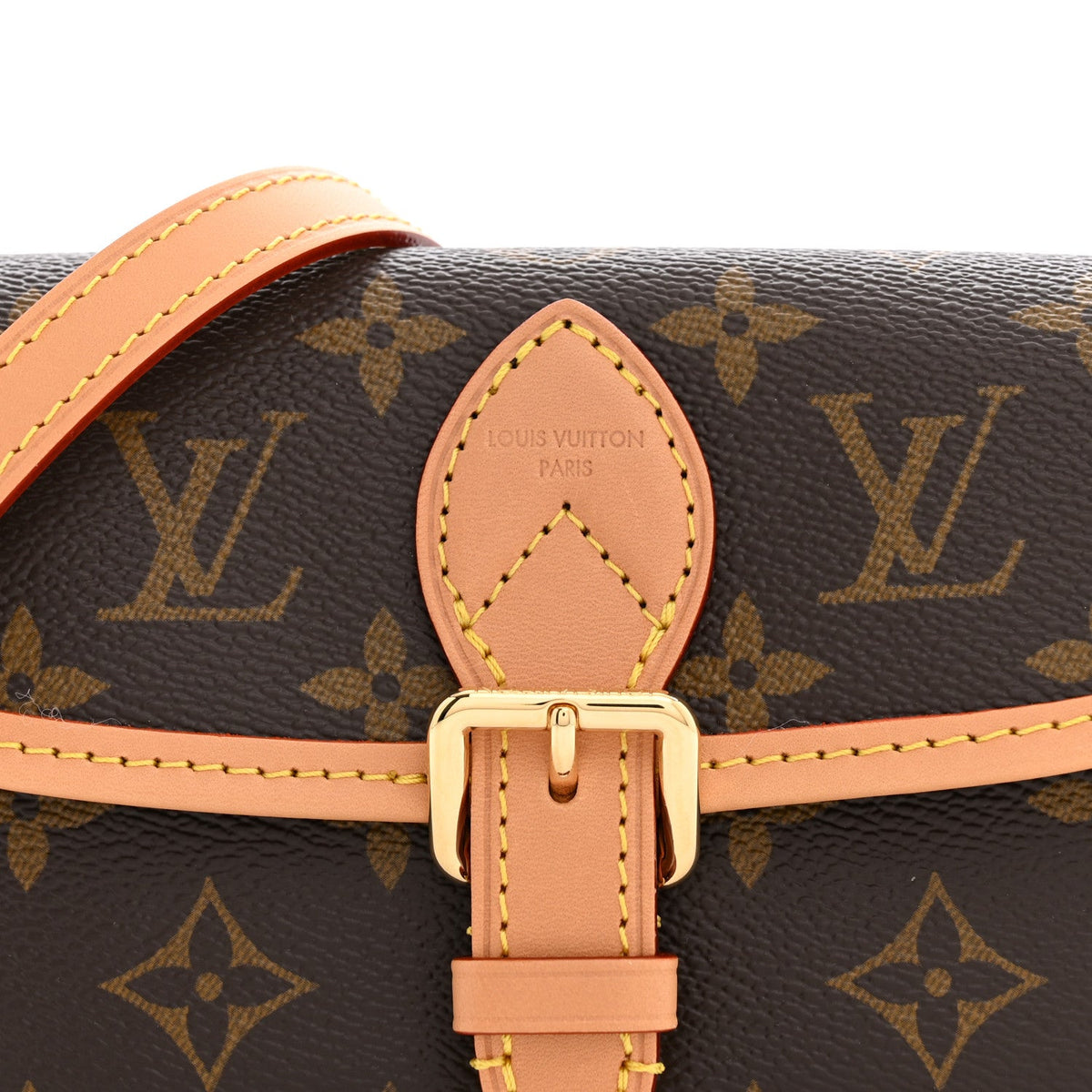 Monogram Nano Diane