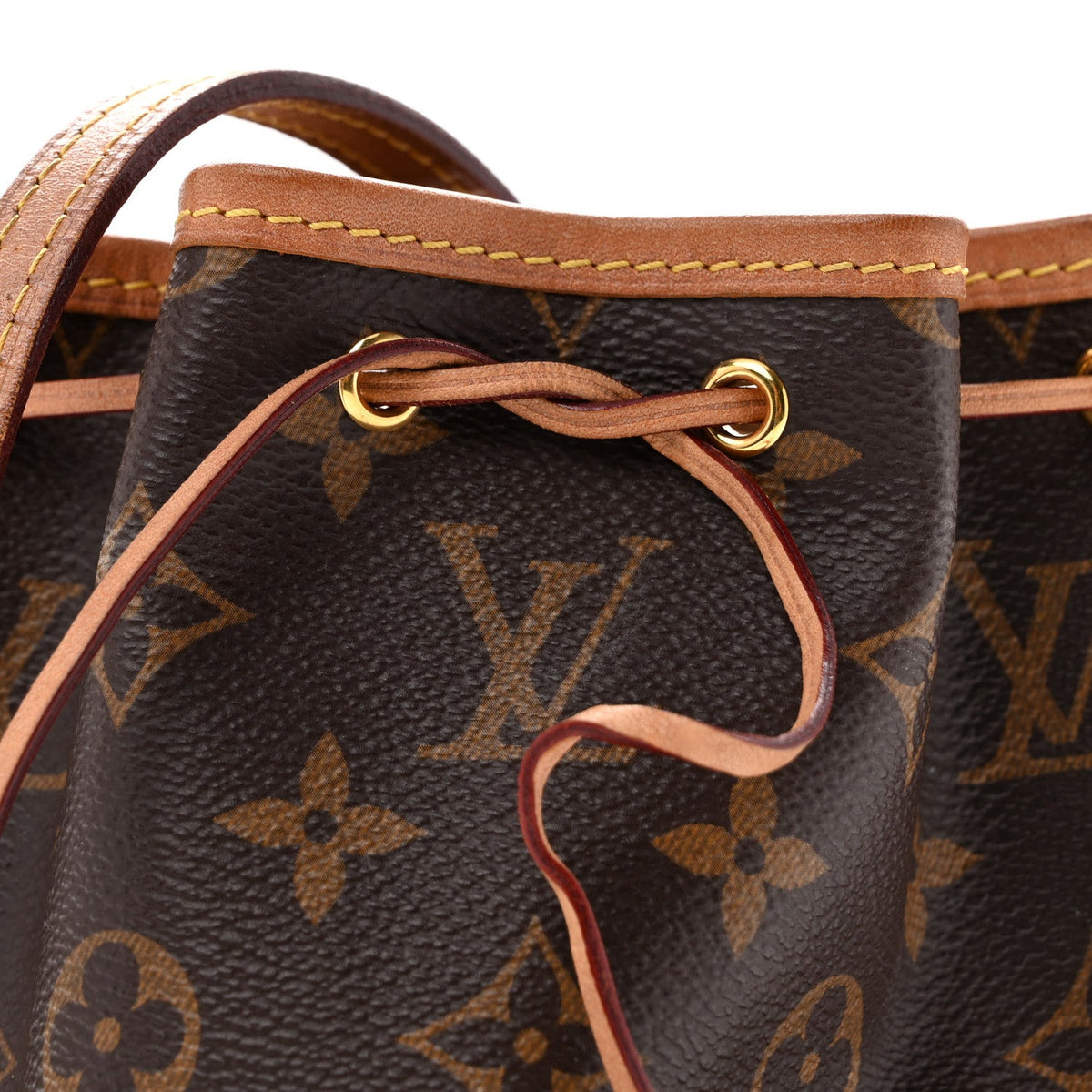 Monogram Nano Noe