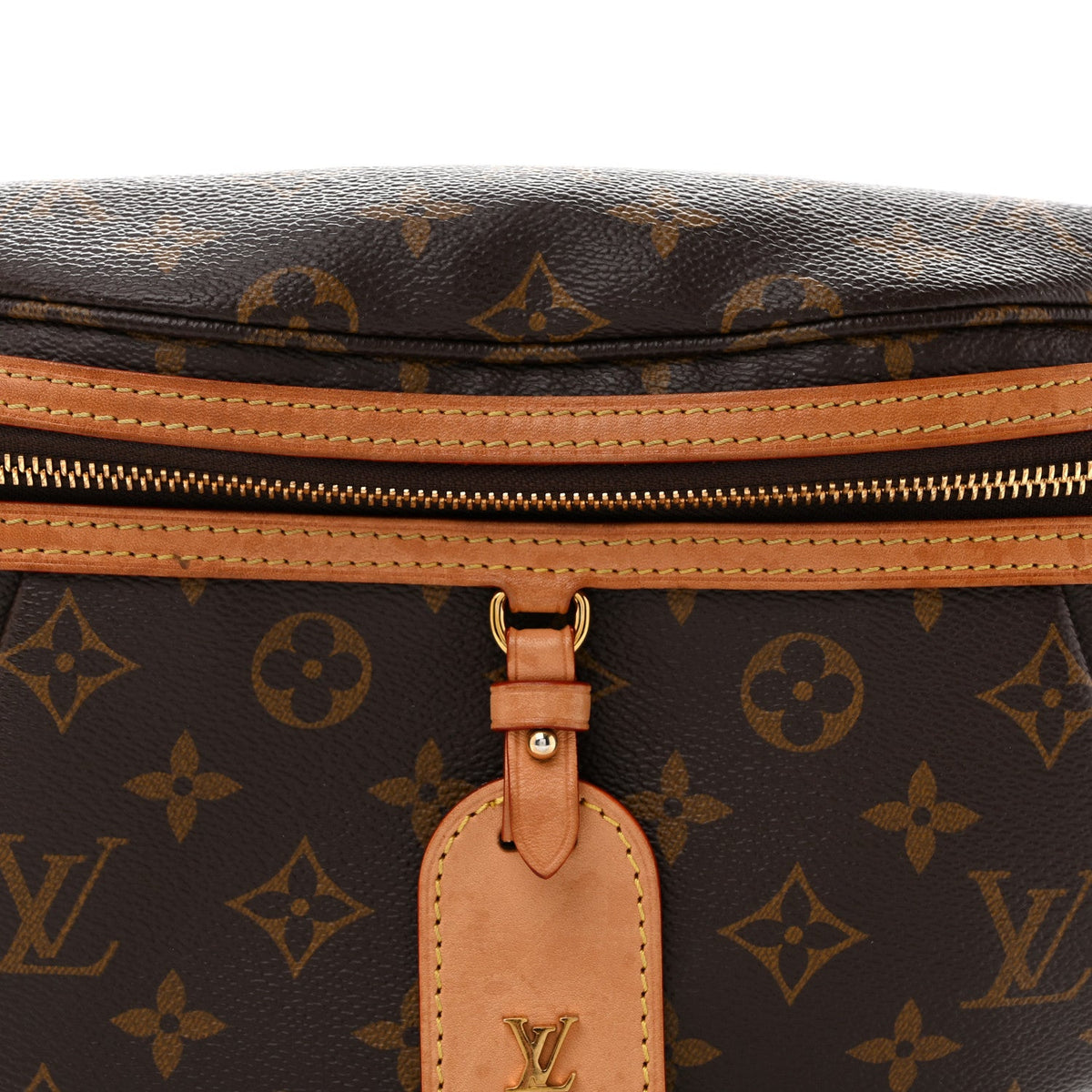 Monogram High Rise Bumbag
