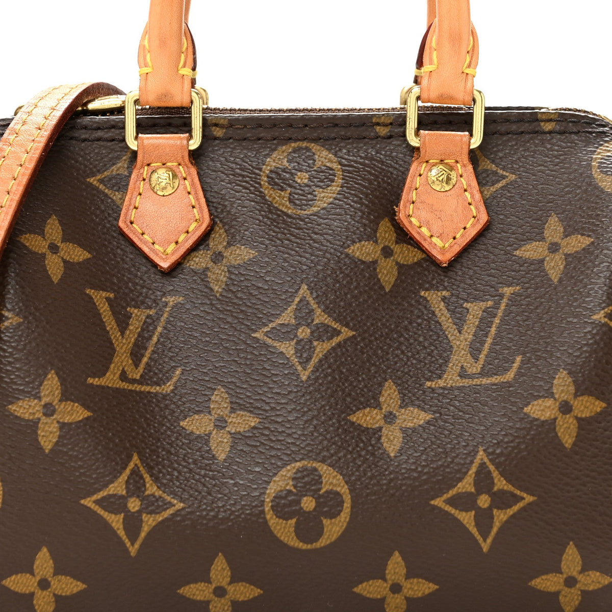 Monogram Nano Speedy