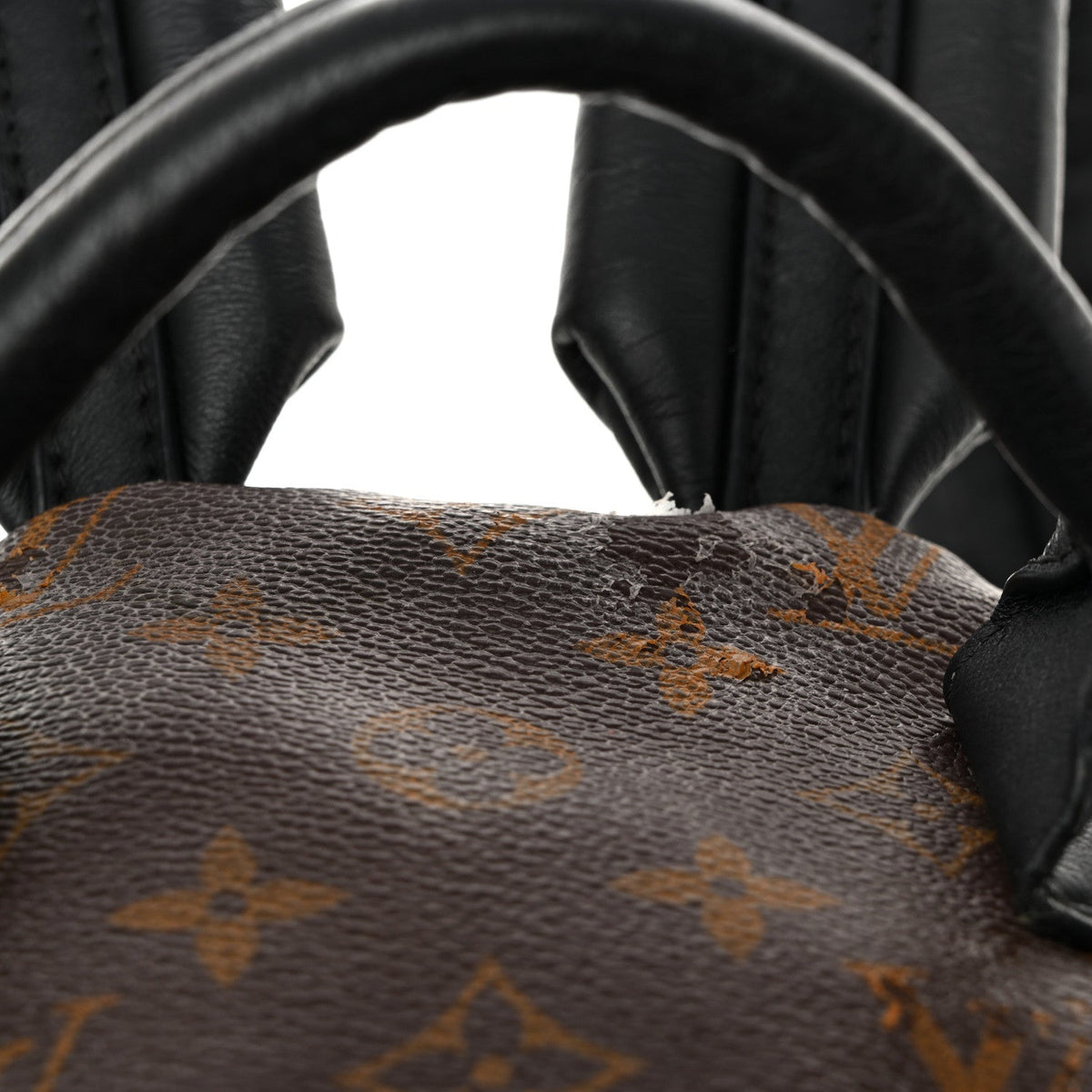 Monogram Palm Springs Backpack MM