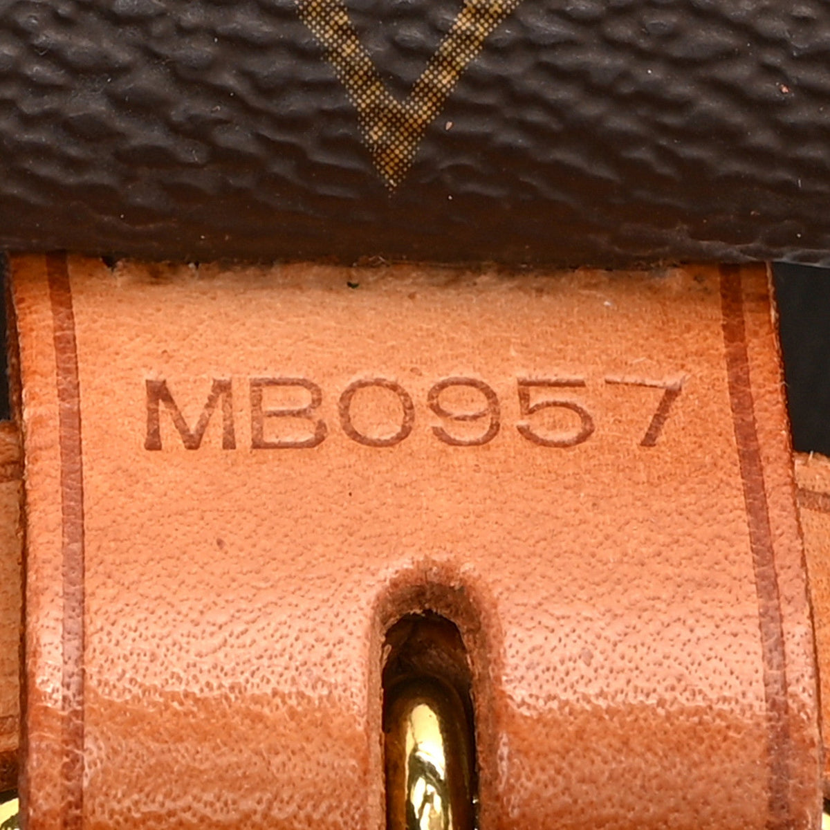 Monogram Saumur 35