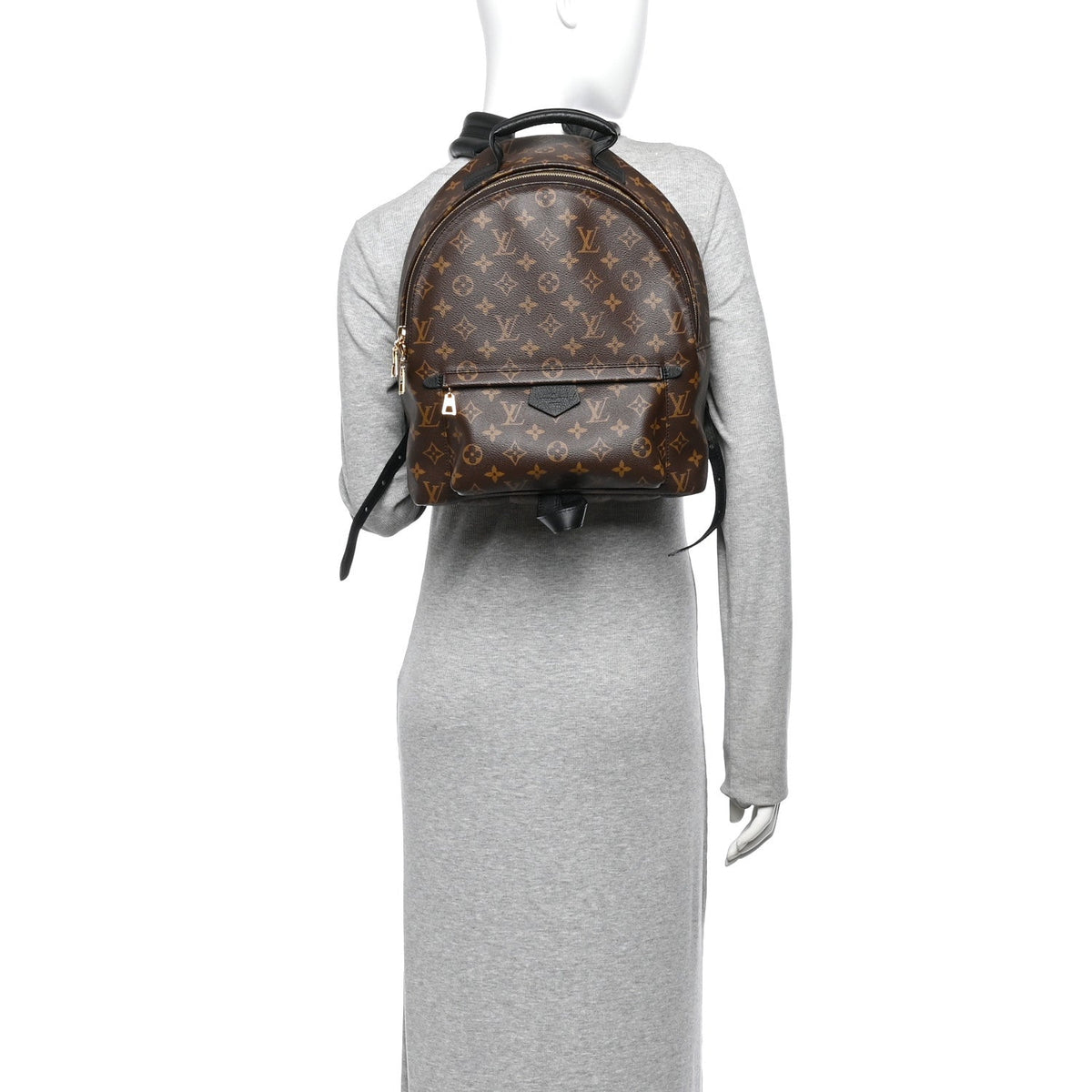 Monogram Palm Springs Backpack MM