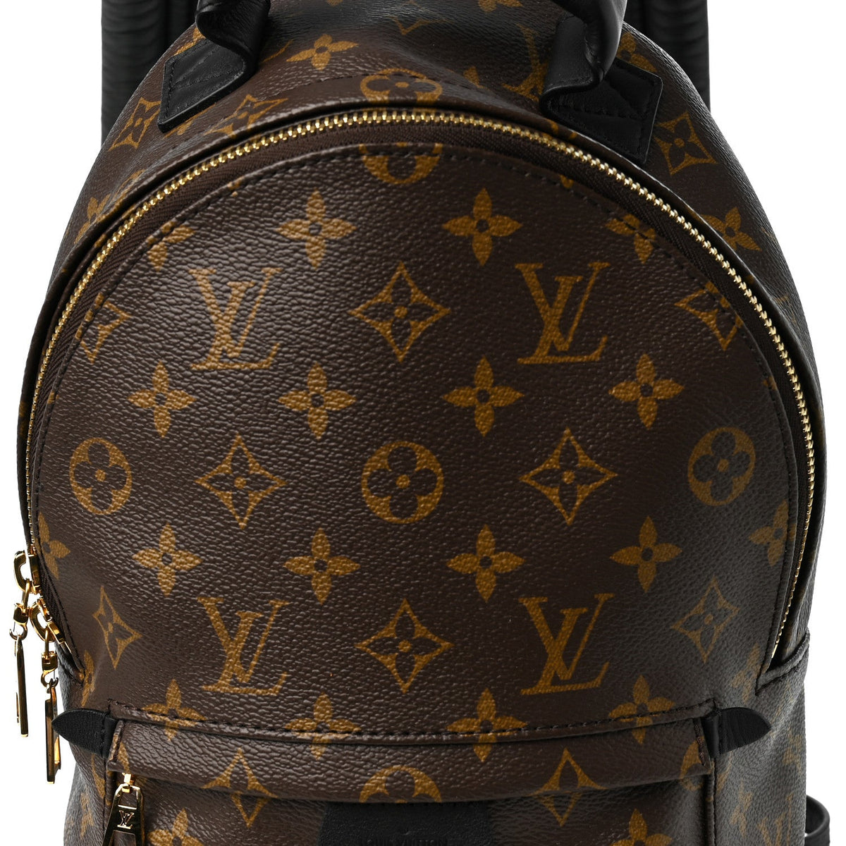 Monogram Palm Springs Backpack PM