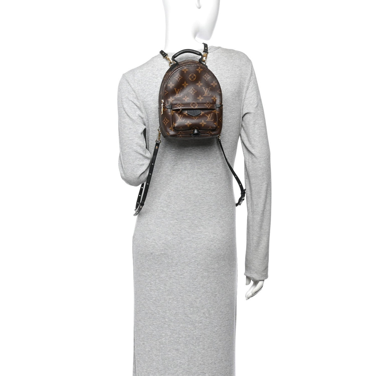 Monogram Palm Springs Backpack Mini
