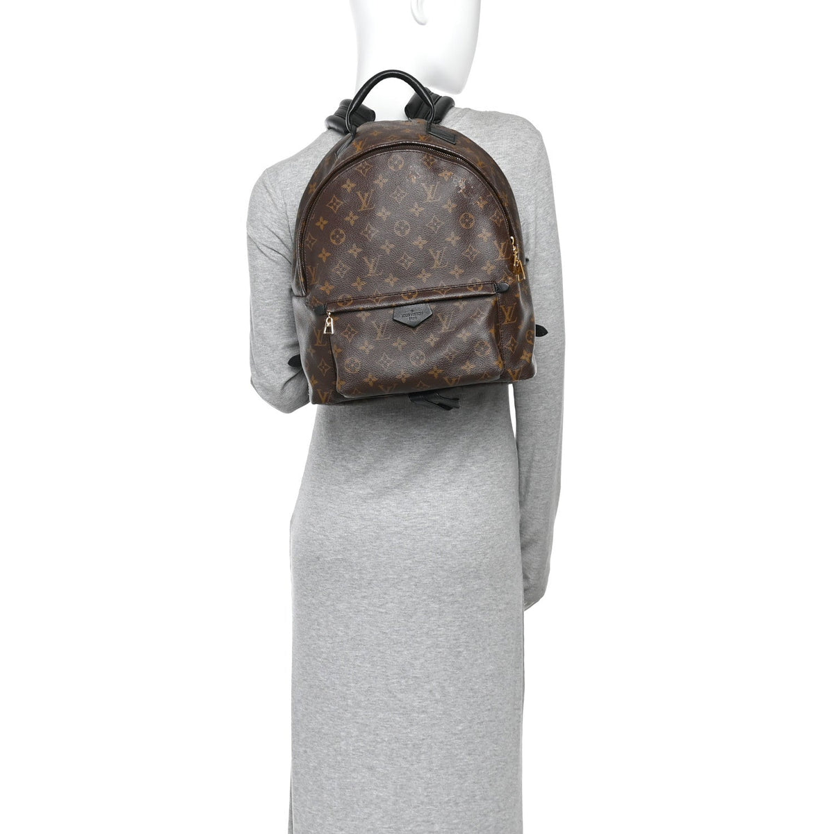 Monogram Palm Springs Backpack MM