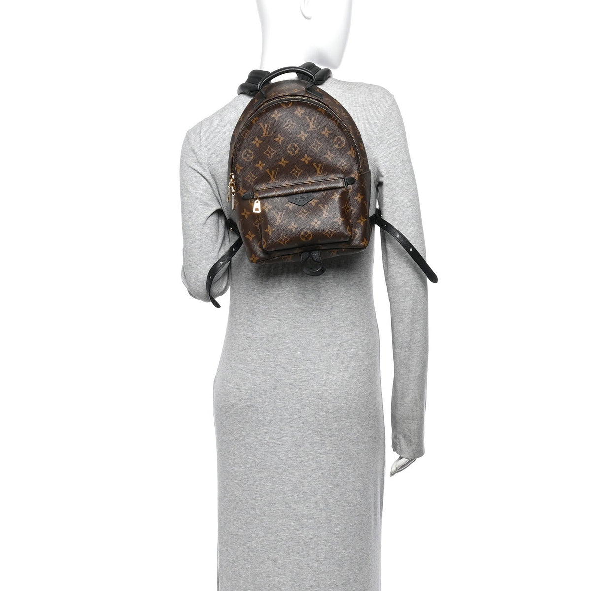 Monogram Palm Springs Backpack PM