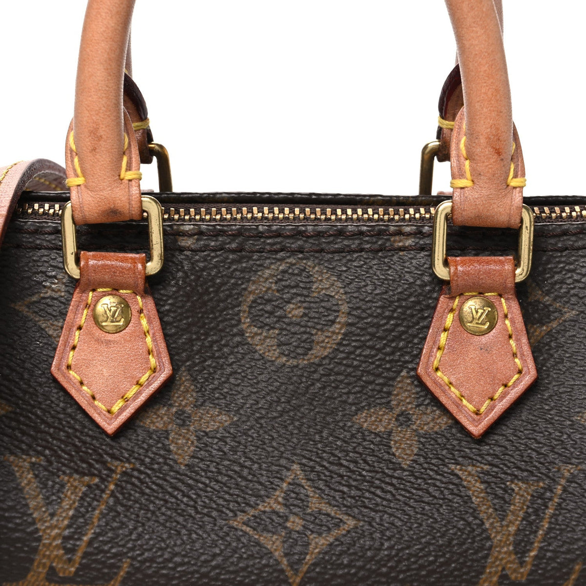 Monogram Nano Speedy