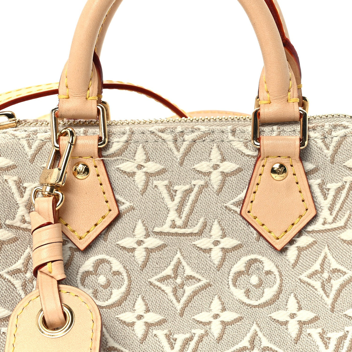 Jacquard Monogram Embleme Nano Speedy Peuplier