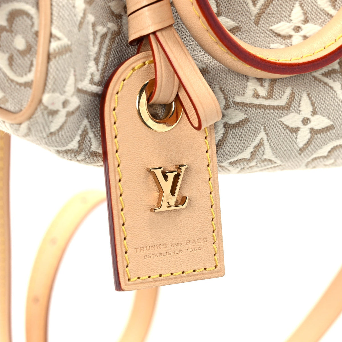 Jacquard Monogram Embleme Nano Speedy Peuplier