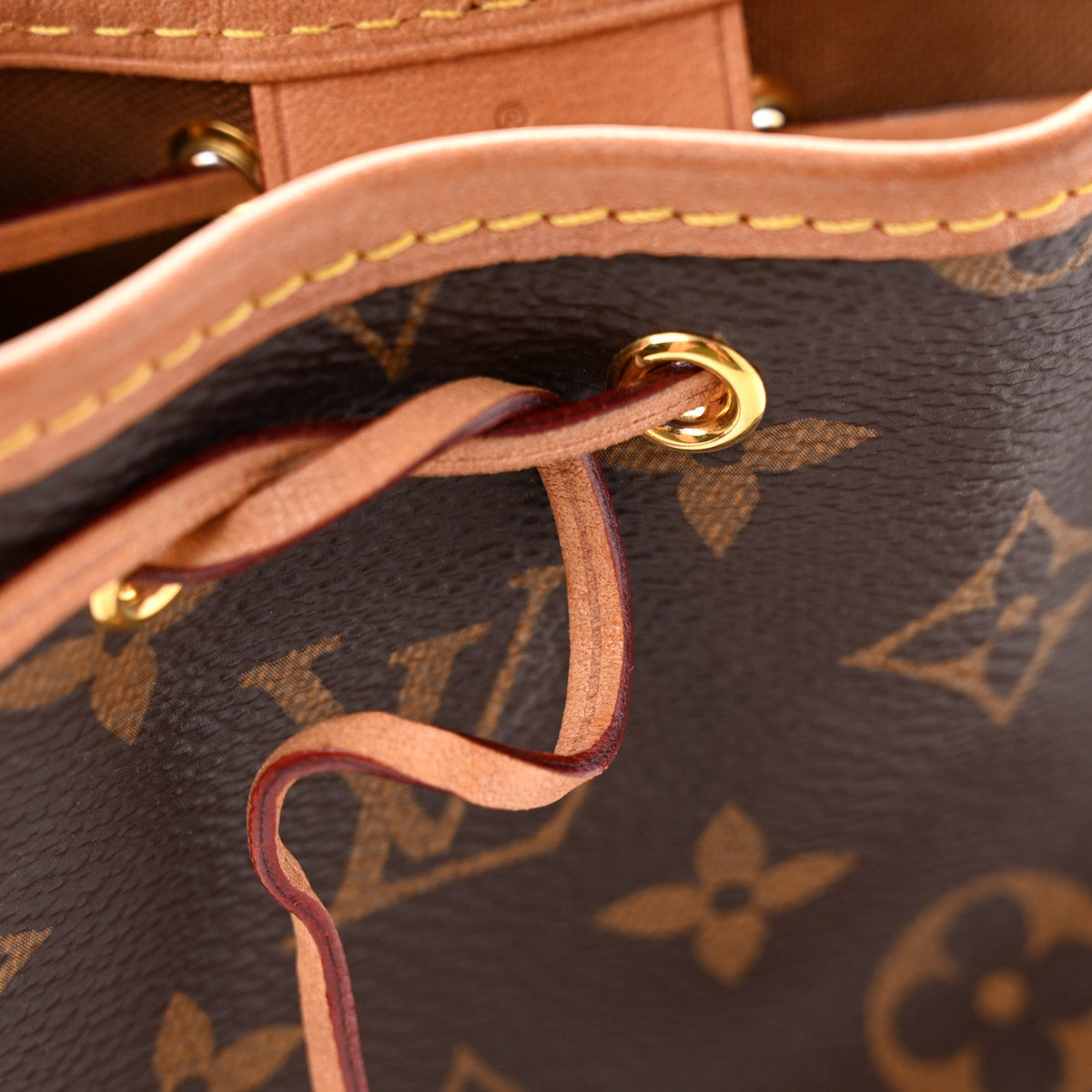 Monogram Nano Noe