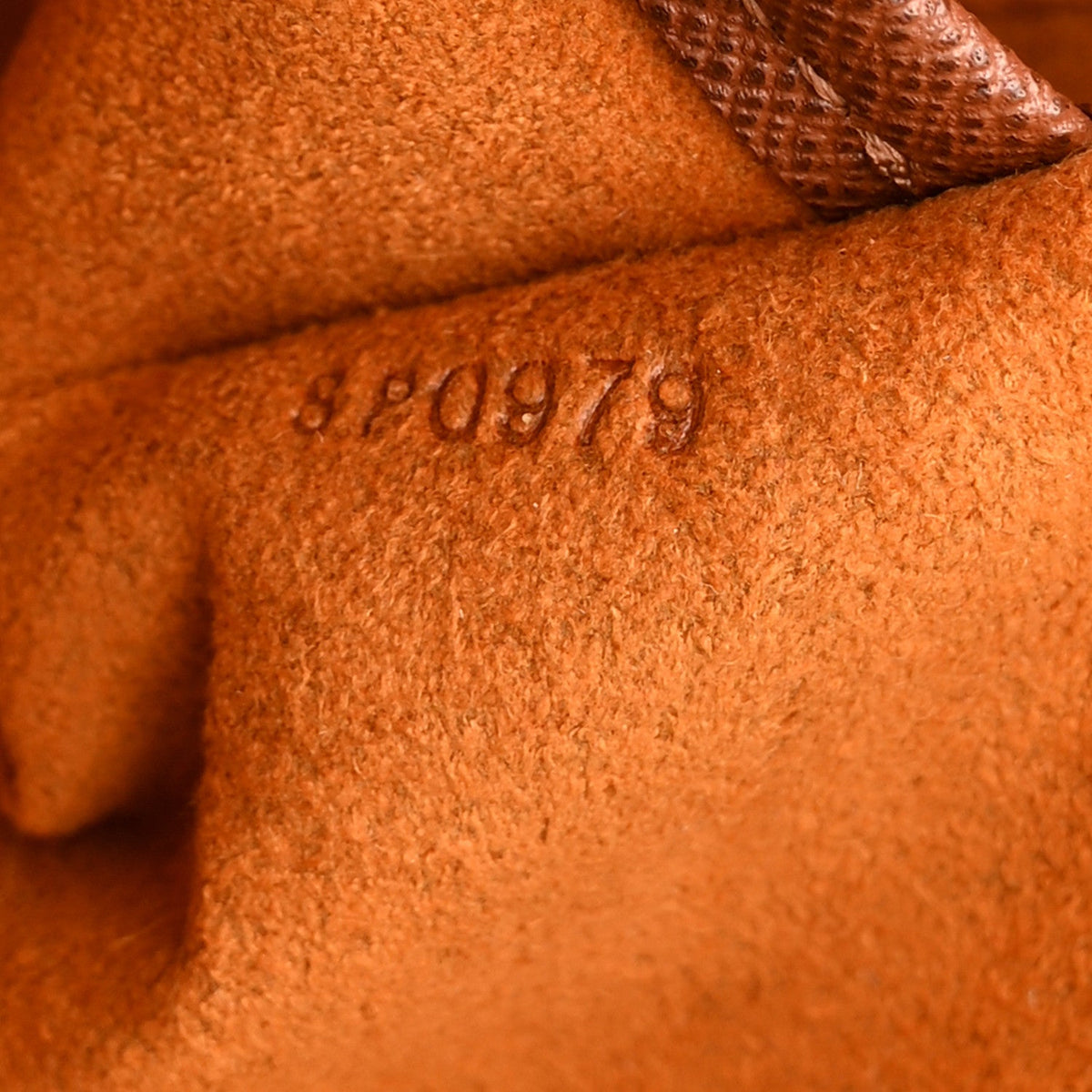 Monogram Musette Tango