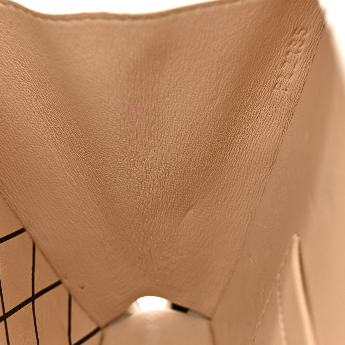 Calfskin Graphic Print Petite Malle