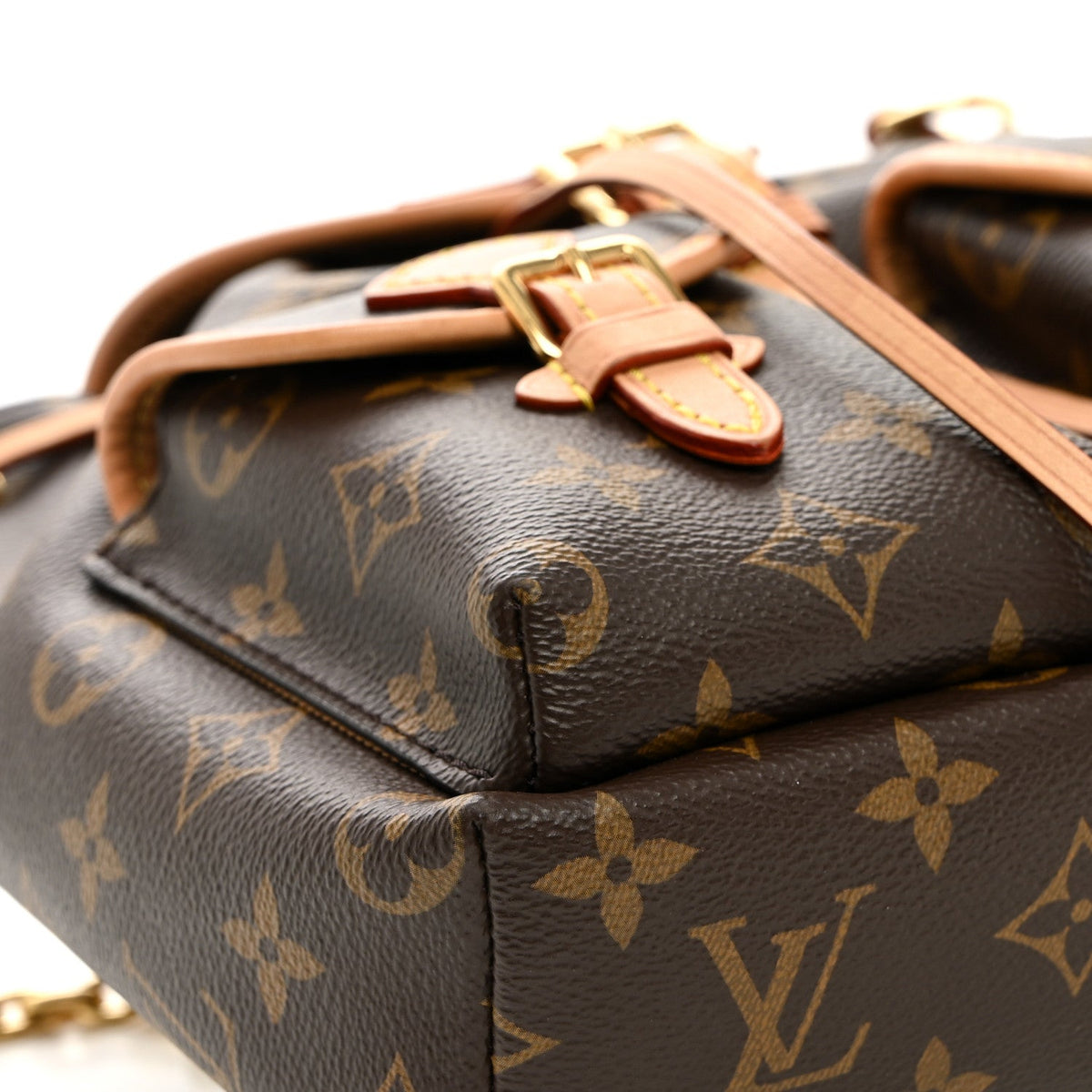 Monogram Excursion PM Backpack