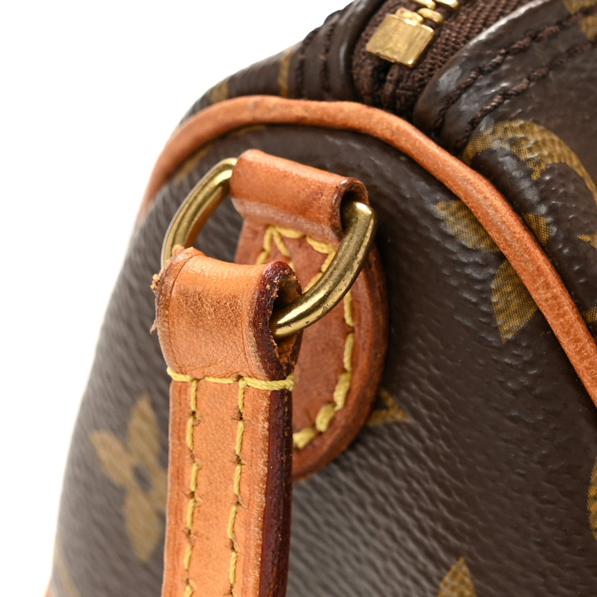Monogram Nano Speedy