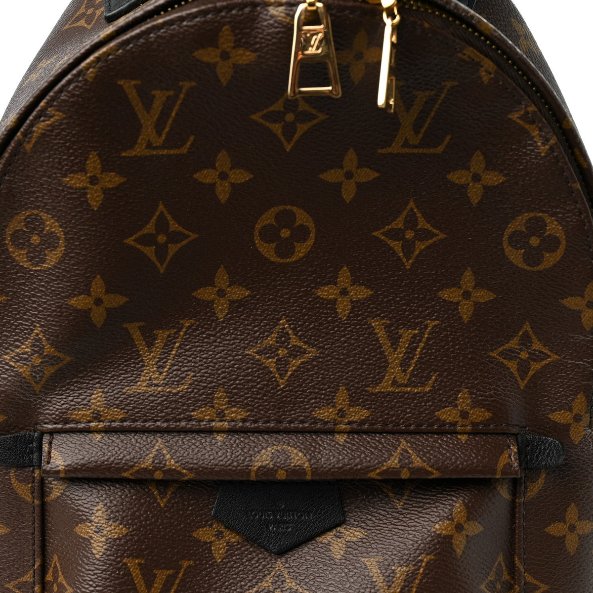 Monogram Palm Springs Backpack PM