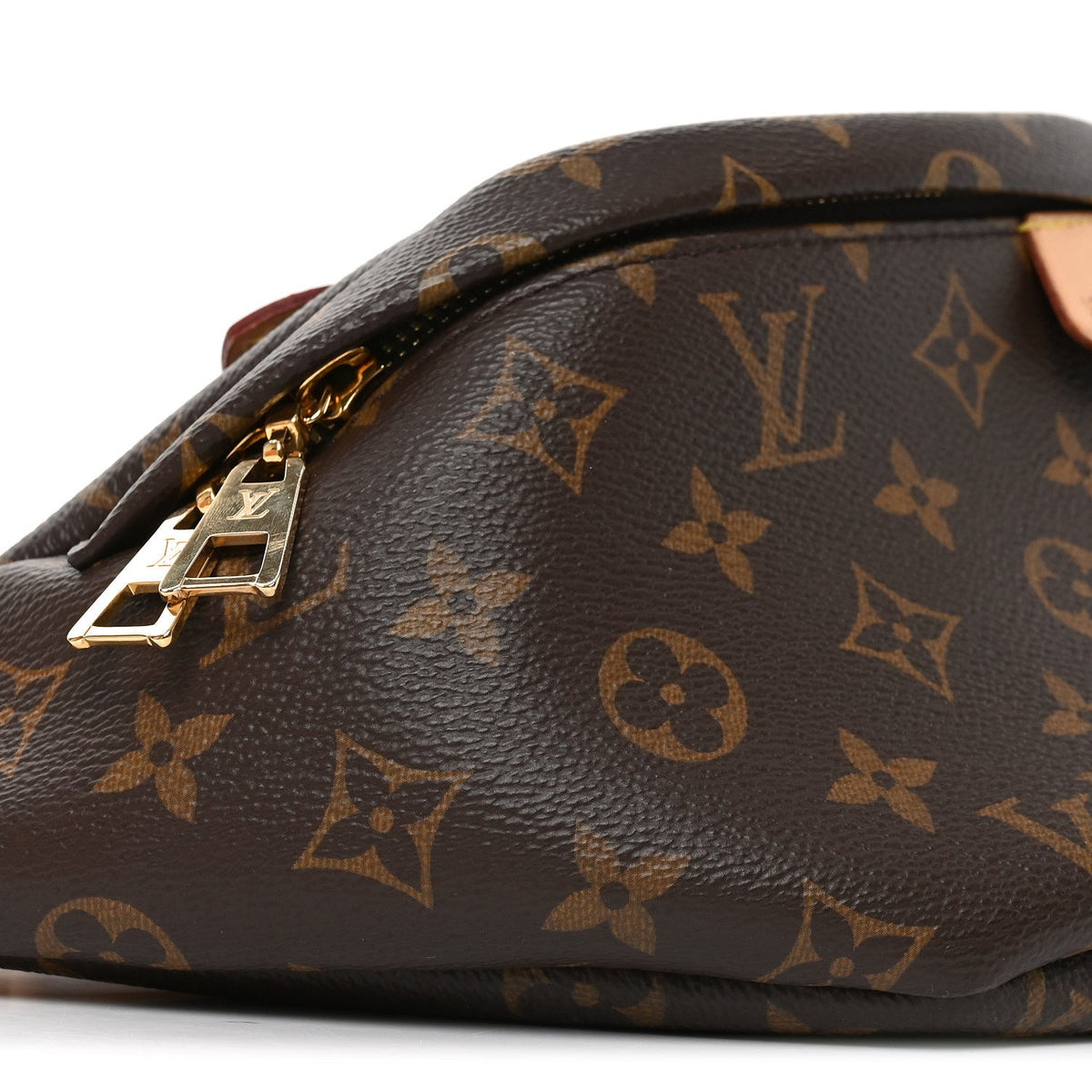 Monogram Bumbag