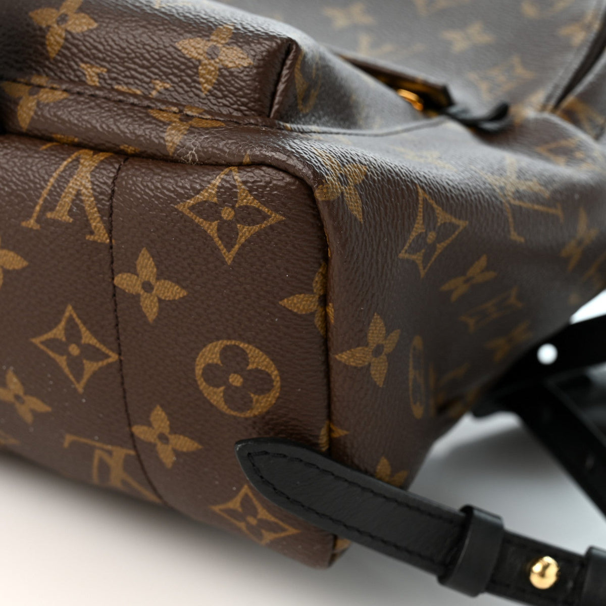 Monogram Palm Springs Backpack PM