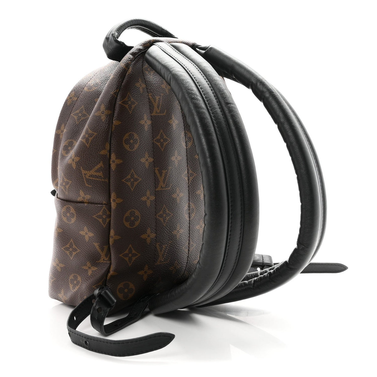 Monogram Palm Springs Backpack PM