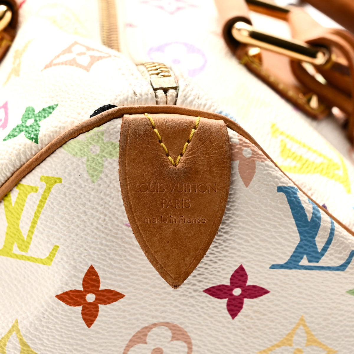 Monogram Multicolor Speedy 30 White