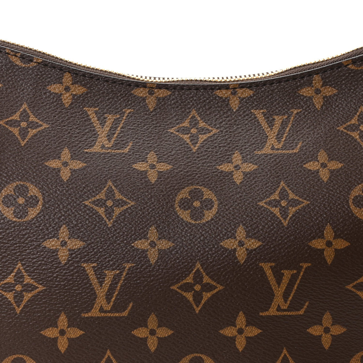 Monogram Slouchy PM