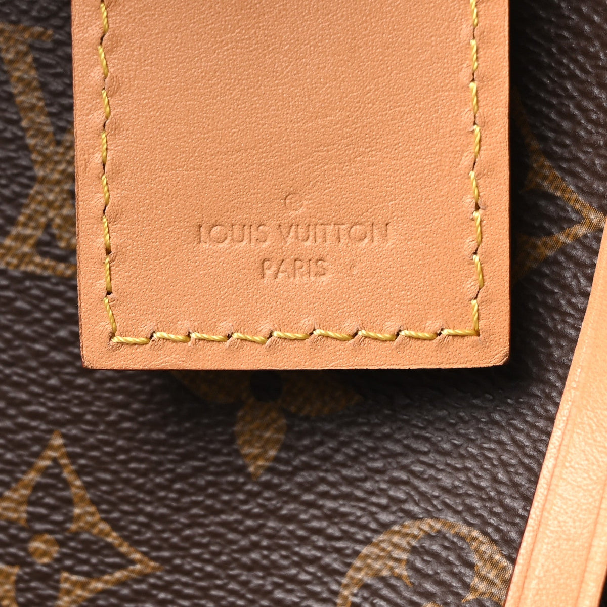 Monogram Carryall PM