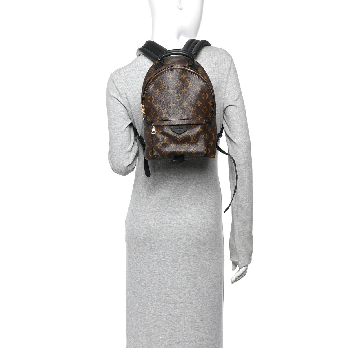 Monogram Palm Springs Backpack PM