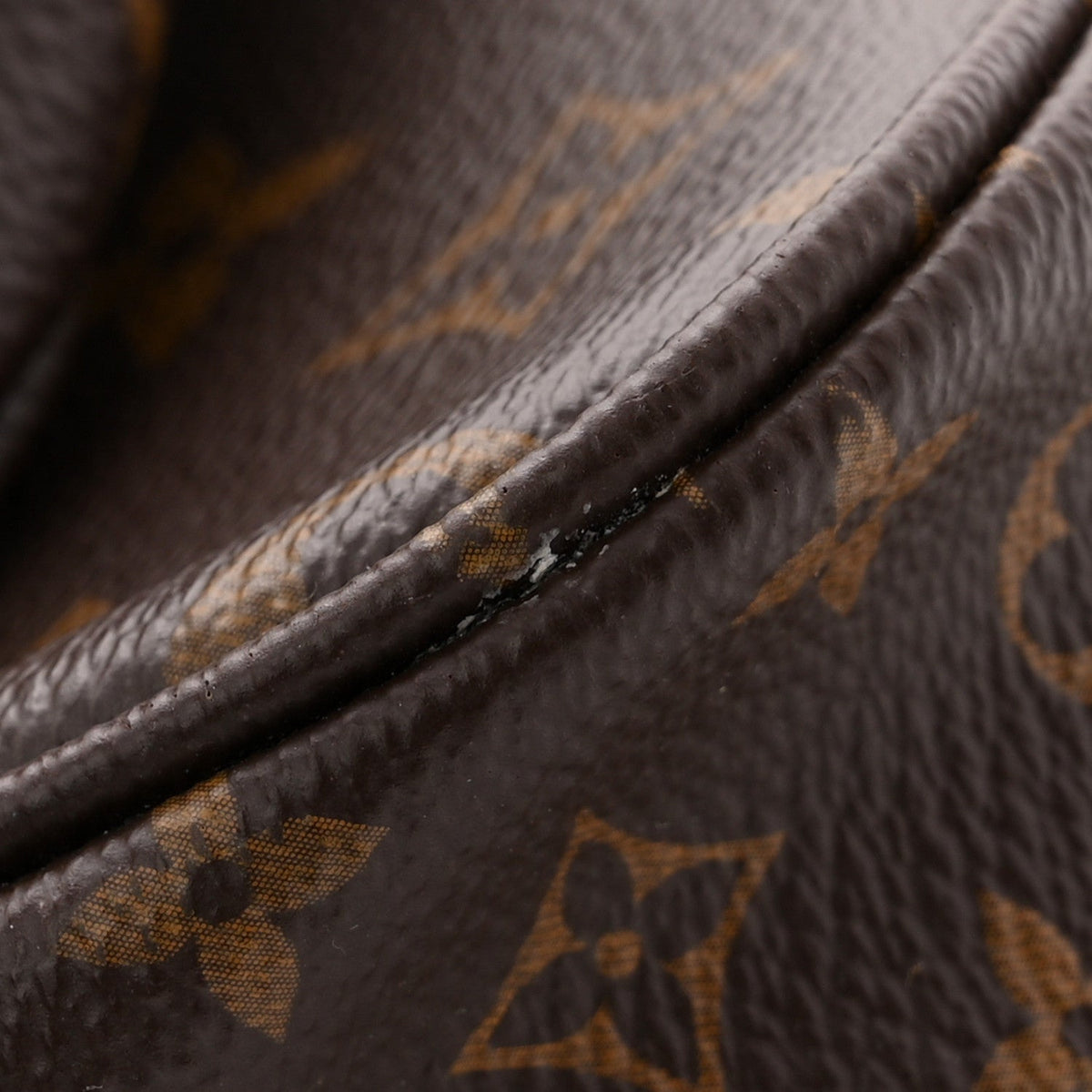 Monogram Multi Pochette Accessories