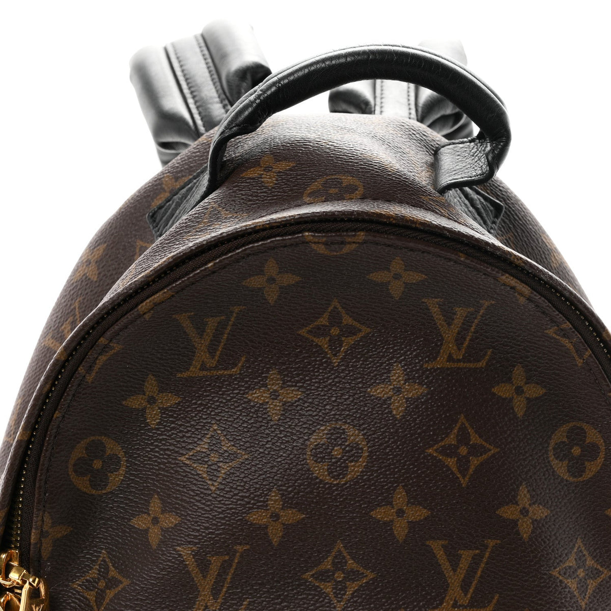 Monogram Palm Springs Backpack PM