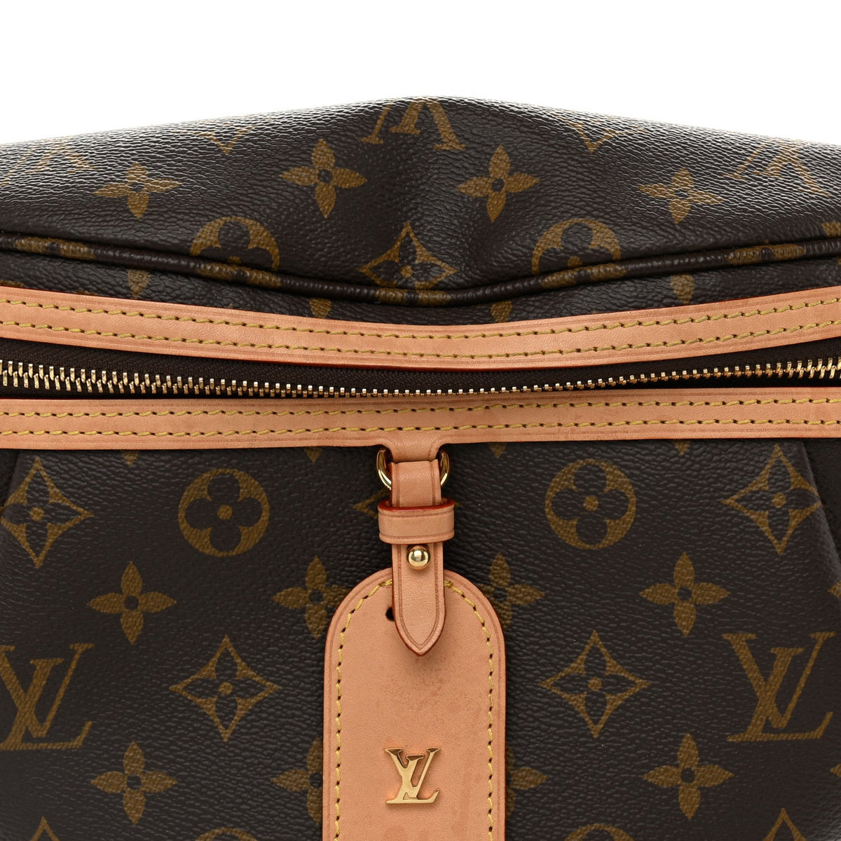 Monogram High Rise Bumbag