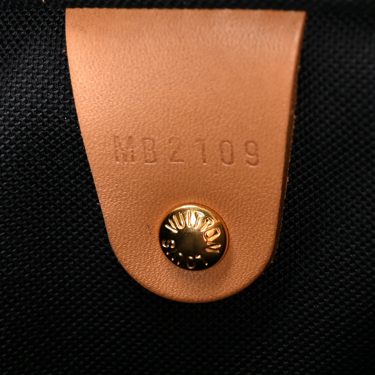 Reverse Monogram Giant Speedy Bandouliere 30