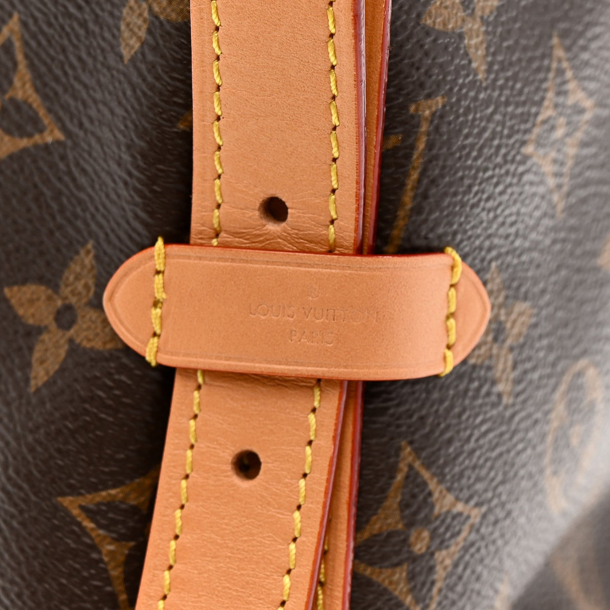 Monogram CarryAll MM
