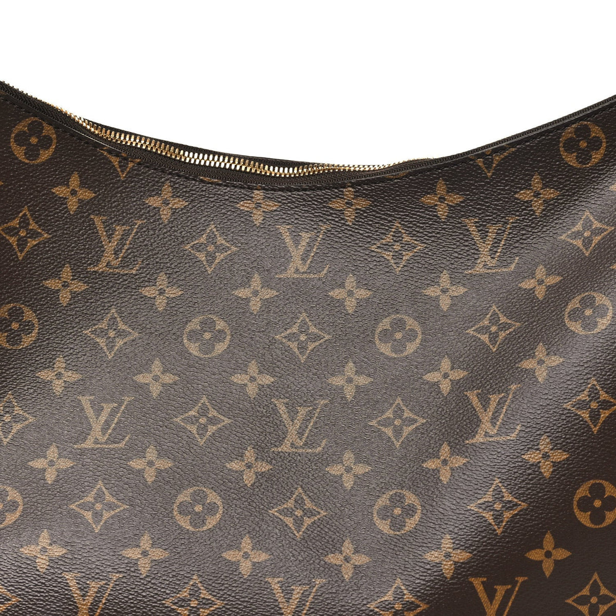Monogram Slouchy MM