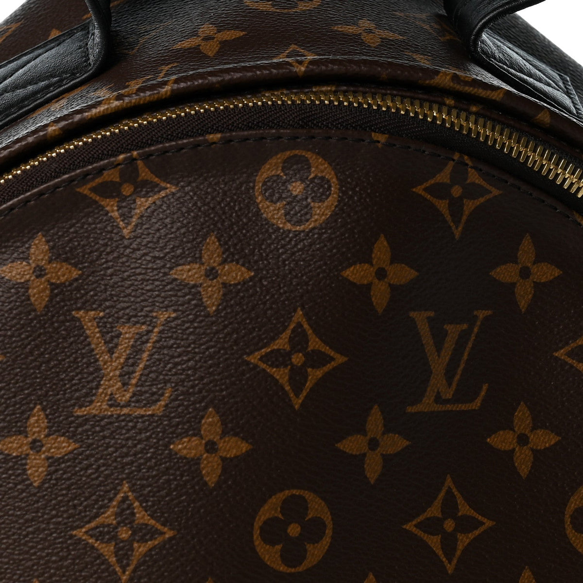 Monogram Palm Springs Backpack MM