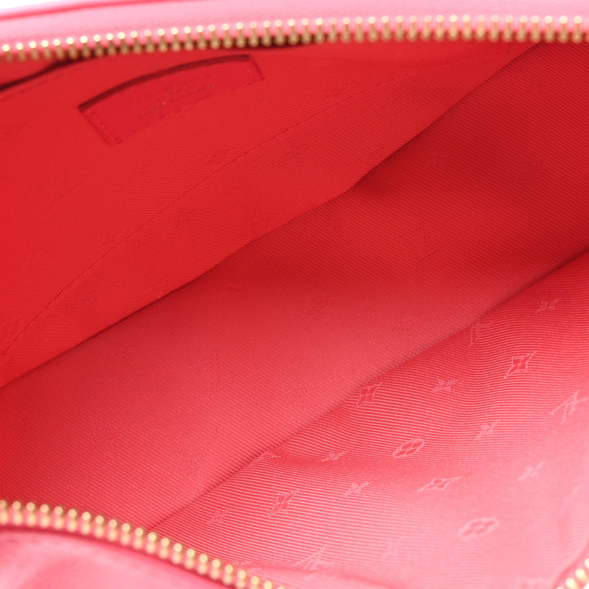 Calfskin Bubblegram Over The Moon Dragon Fruit