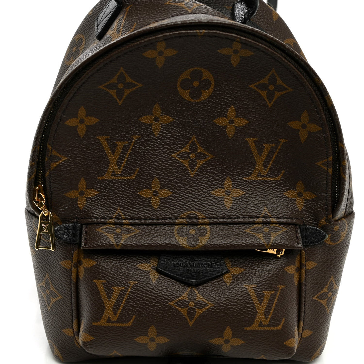 Monogram Palm Springs Backpack Mini