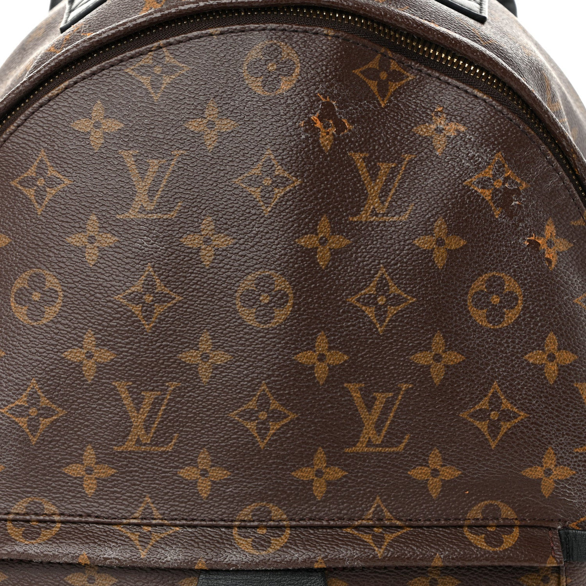 Monogram Palm Springs Backpack MM