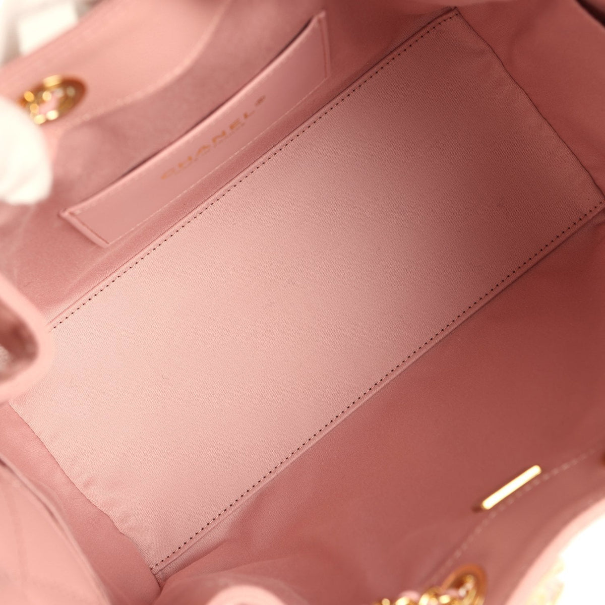 Chanel Small 25 Hobo Bag Light Pink Caviar Gold Hardware