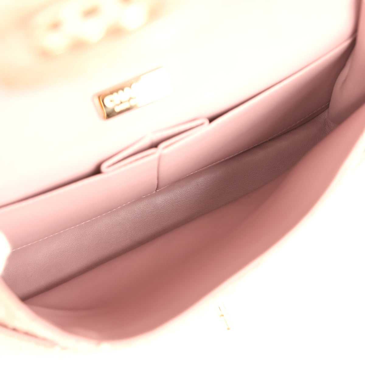 Pre-owned Chanel Medium Classic Double Flap Bag Iridescent Pink Python Light Gold Hardware