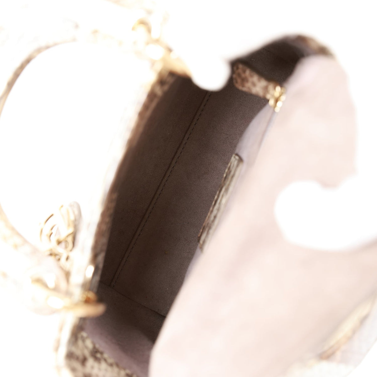 Pre-owned Christian Dior Mini Lady Dior Tote Python Gold Hardware