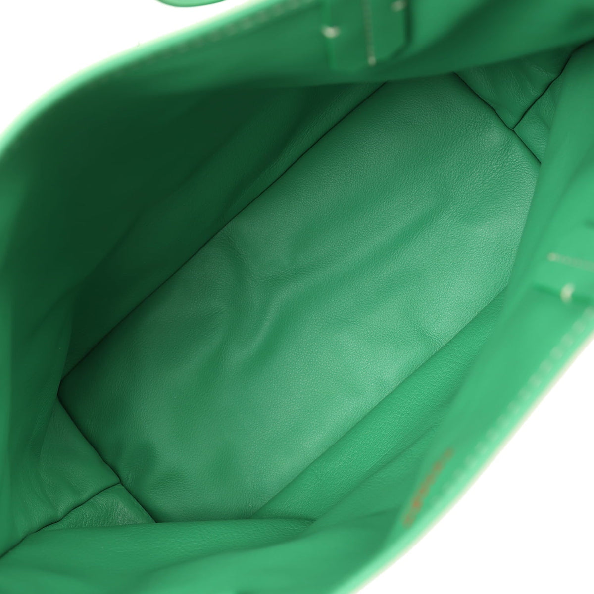 Goyard Goyardine Anjou Meadow Green Mini Bag Palladium Hardware