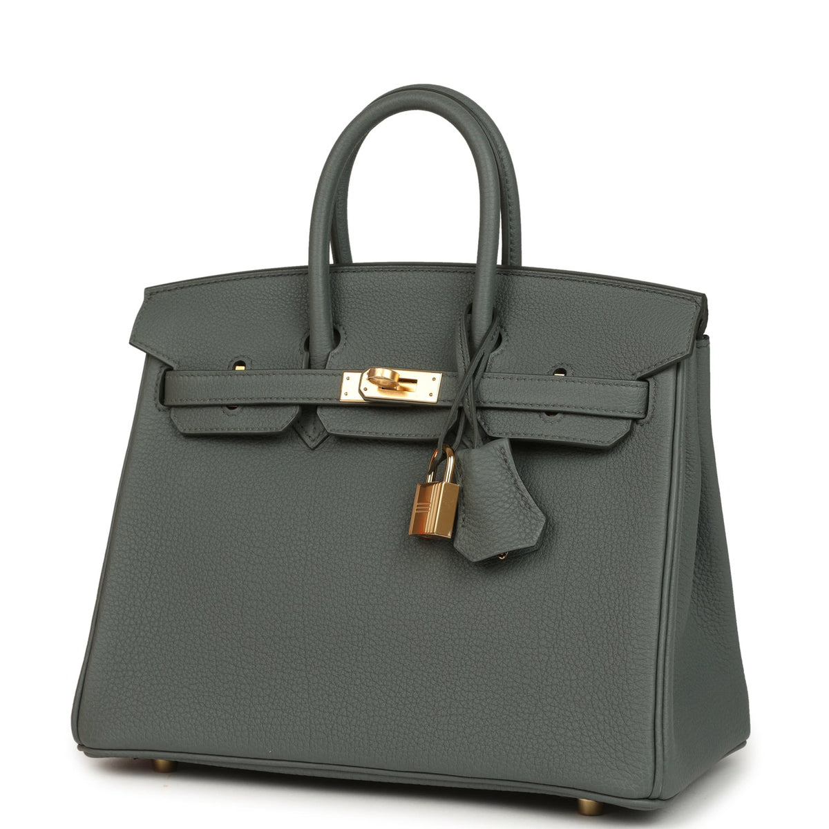 Hermes Birkin 25 Vert Amande Togo Gold Hardware
