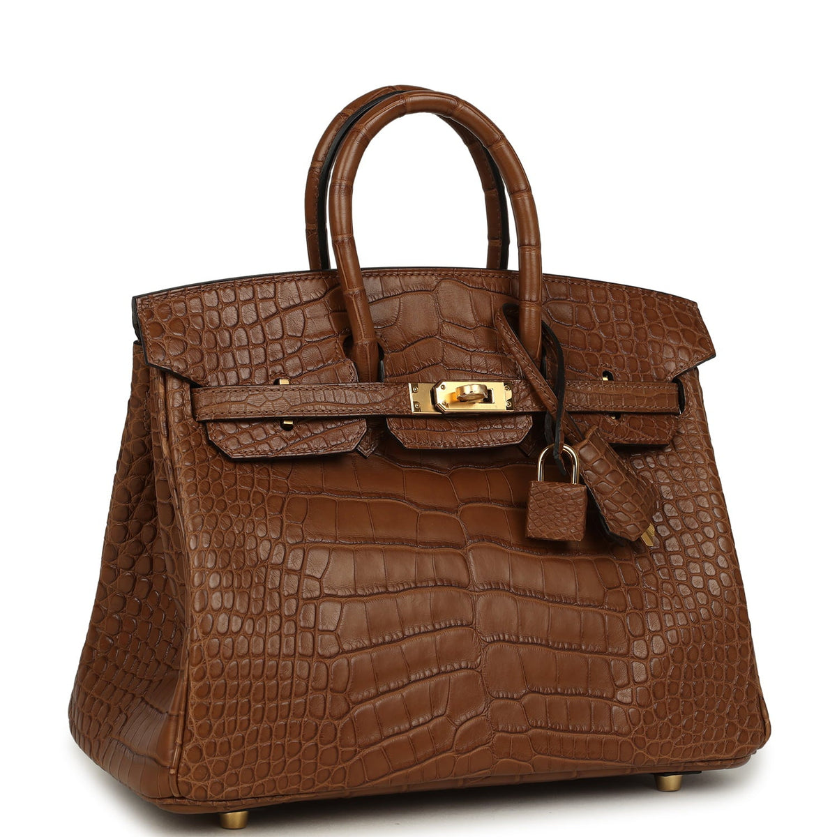 Hermes Birkin 25 Alezan Matte Alligator Gold Hardware