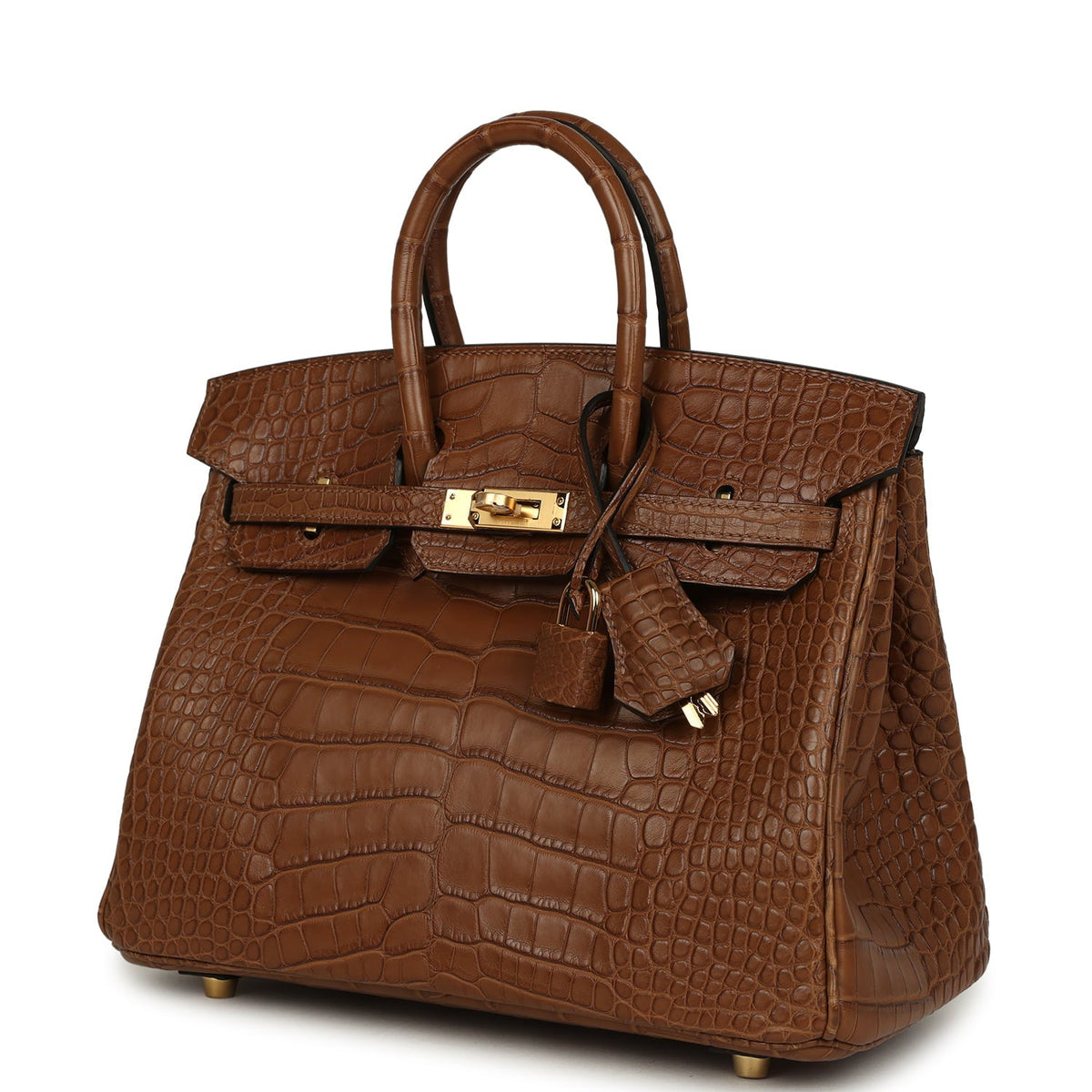 Hermes Birkin 25 Alezan Matte Alligator Gold Hardware
