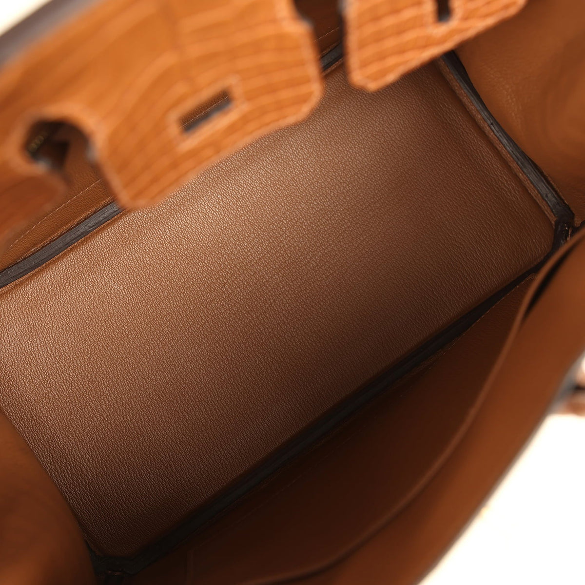 Hermes Birkin 25 Alezan Matte Alligator Gold Hardware
